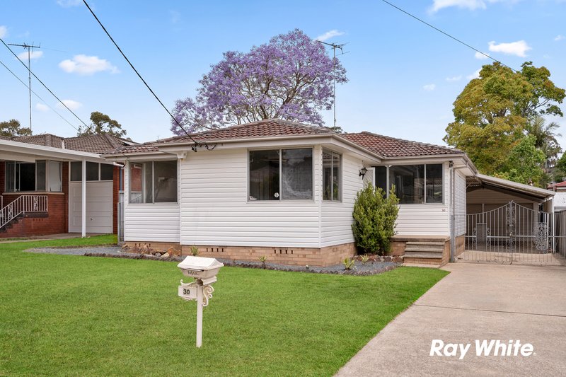 30 Labrador Street, Rooty Hill NSW 2766