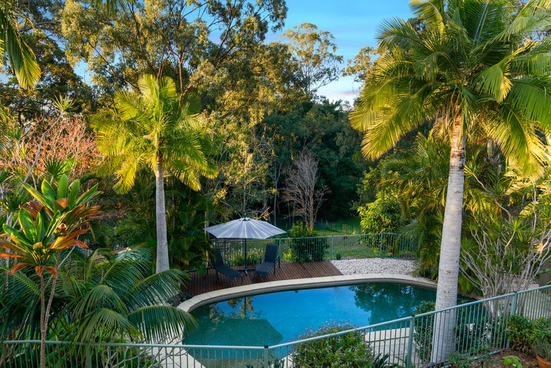 Photo - 30 Ladds Ridge Road, Burleigh Heads QLD 4220 - Image 13