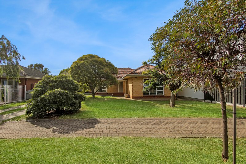 Photo - 30 Lawrie Street, Henley Beach SA 5022 - Image 17