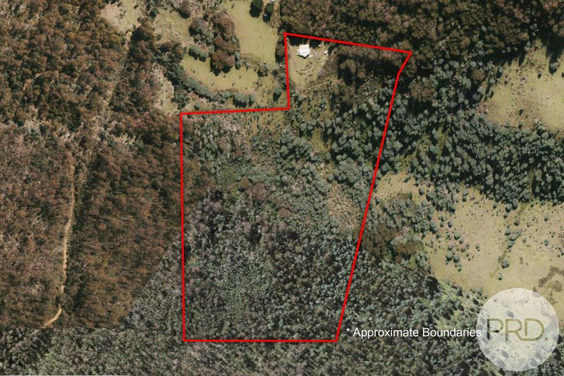 Photo - 30 Mcgurk Road, Mount Lloyd TAS 7140 - Image 7