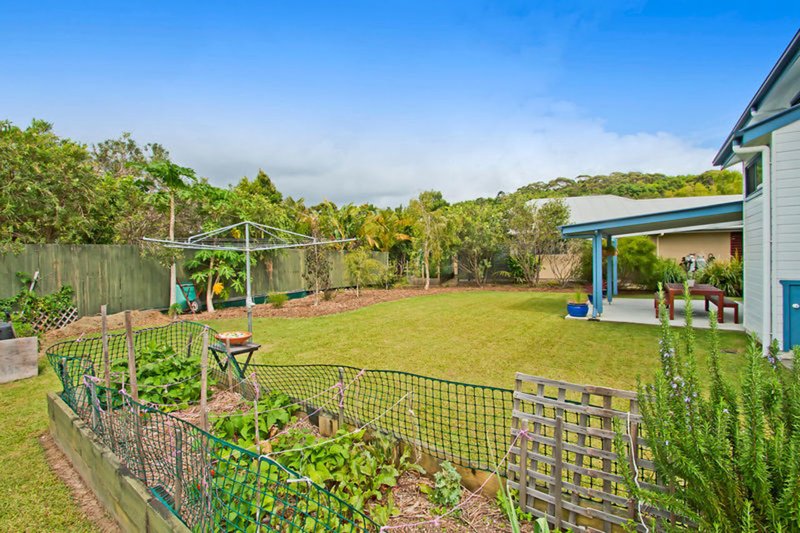 Photo - 30 Muskheart Circuit, Pottsville NSW 2489 - Image 17