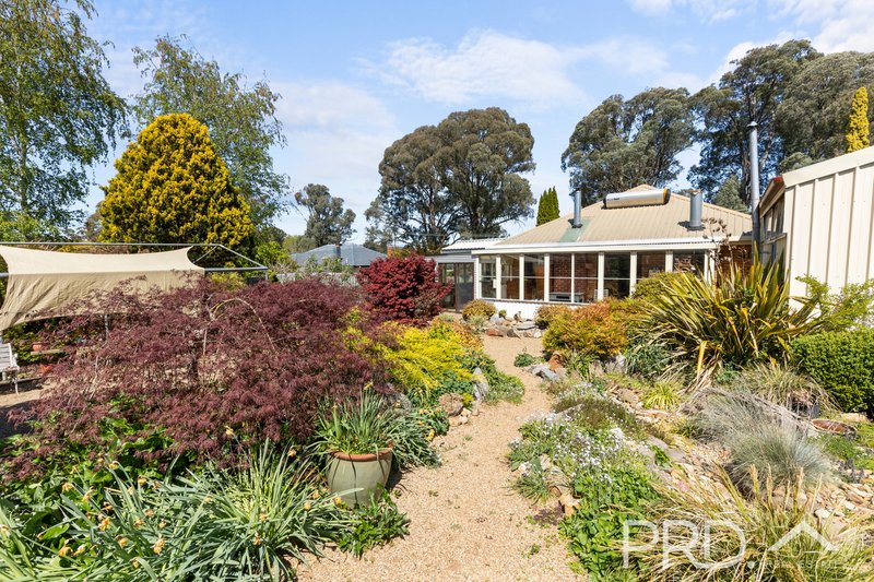 Photo - 30 Park Avenue, Batlow NSW 2730 - Image 14