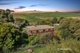 Photo - 30 Perrys Road, Forth TAS 7310 - Image 1