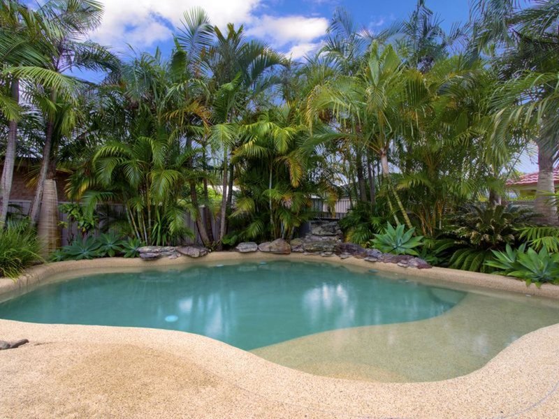 Photo - 30 Red Cedar Drive, Coffs Harbour NSW 2450 - Image 3