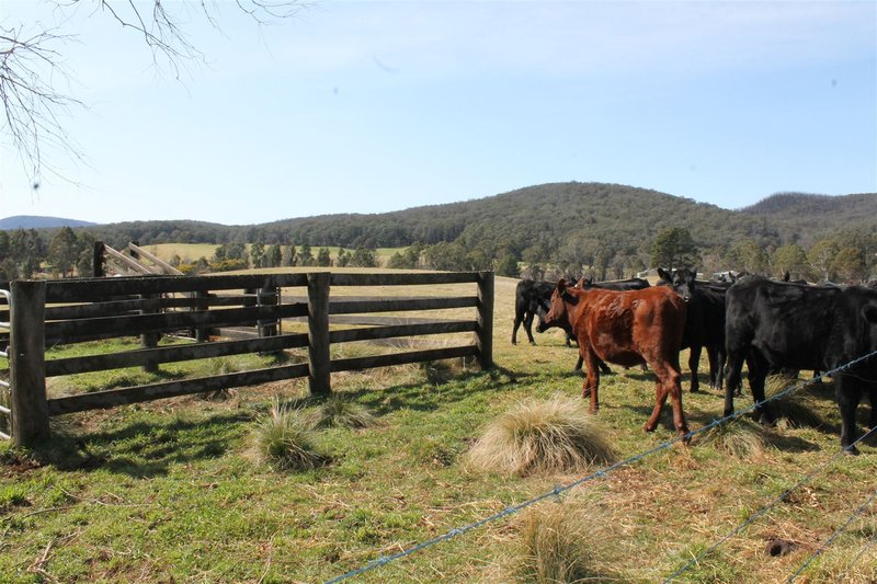 Photo - 30 River Forest Road, Braidwood NSW 2622 - Image 5