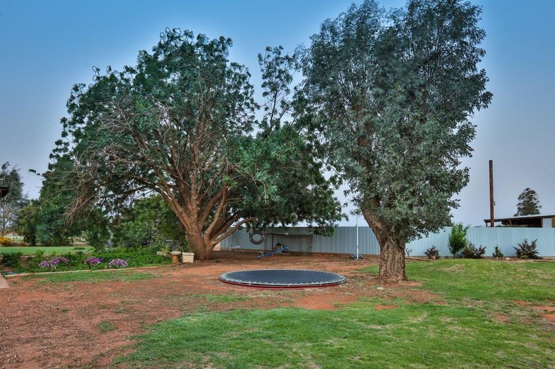 Photo - 30 Rodwells Road, Birdwoodton VIC 3505 - Image 25