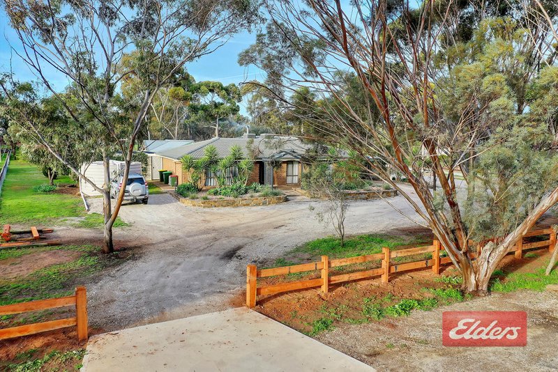 Photo - 30 Ronda Avenue, Roseworthy SA 5371 - Image 3