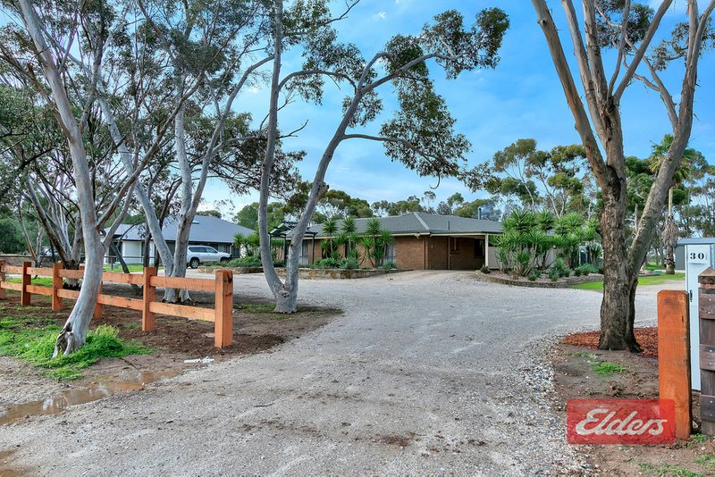 Photo - 30 Ronda Avenue, Roseworthy SA 5371 - Image 6