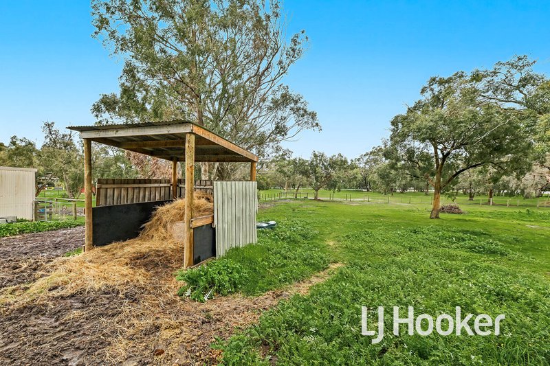 Photo - 30 Scott Road, Cranbourne South VIC 3977 - Image 13
