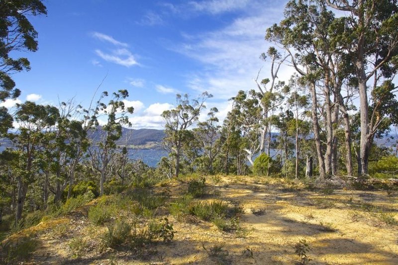 Photo - 30 Swifts Road, Surges Bay TAS 7116 - Image 8