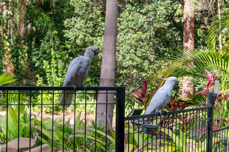 Photo - 30 Victor Avenue, Palmview QLD 4553 - Image 26