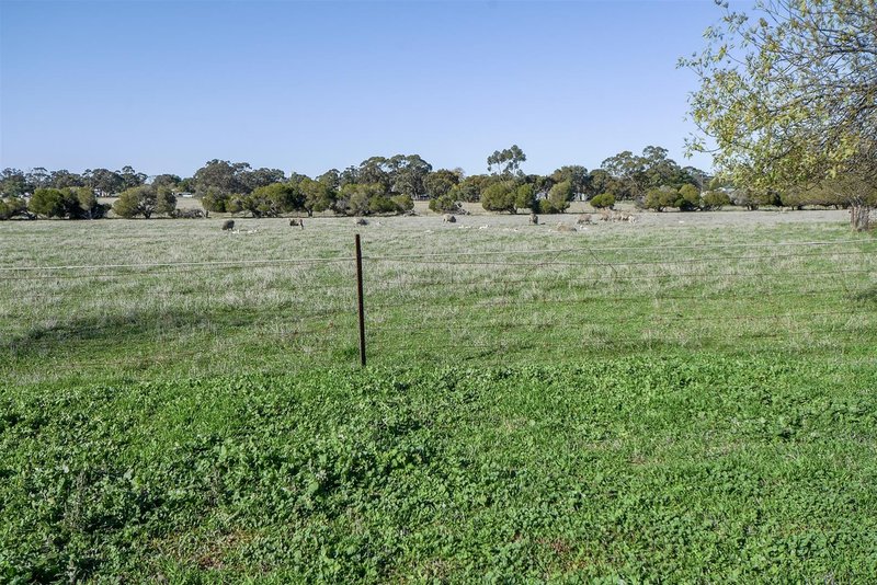 Photo - 30 Walkers Road, Goroke VIC 3412 - Image 14