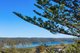 Photo - 30 Watkins Road, Avalon Beach NSW 2107 - Image 5