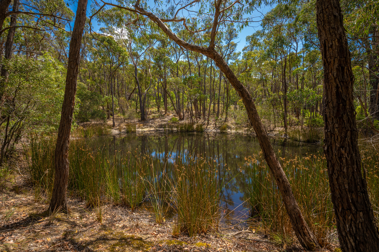 1-bedroom house at 30 Woodland Drive, Scarsdale, VIC 3351, Golden Plains, Victoria