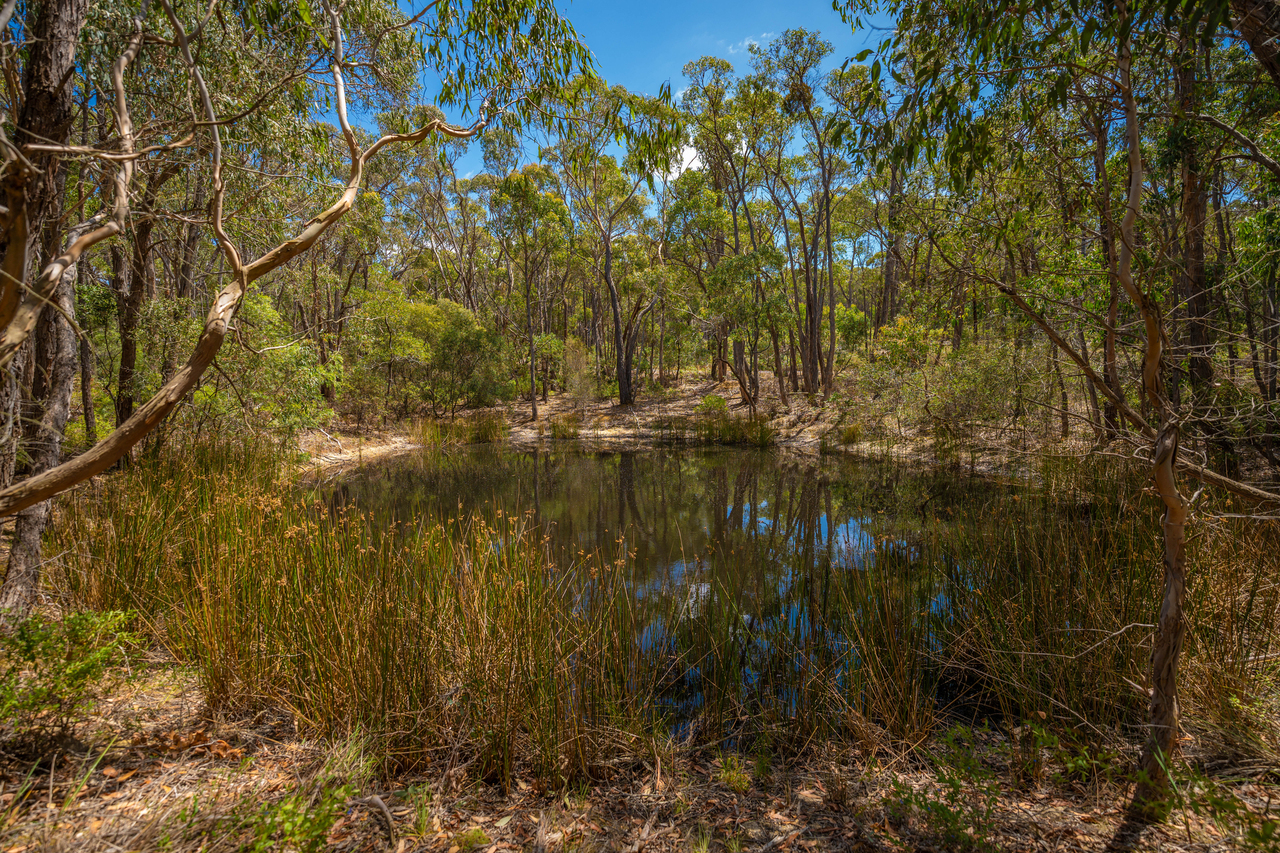 1-bedroom house at 30 Woodland Drive, Scarsdale, VIC 3351, Golden Plains, Victoria