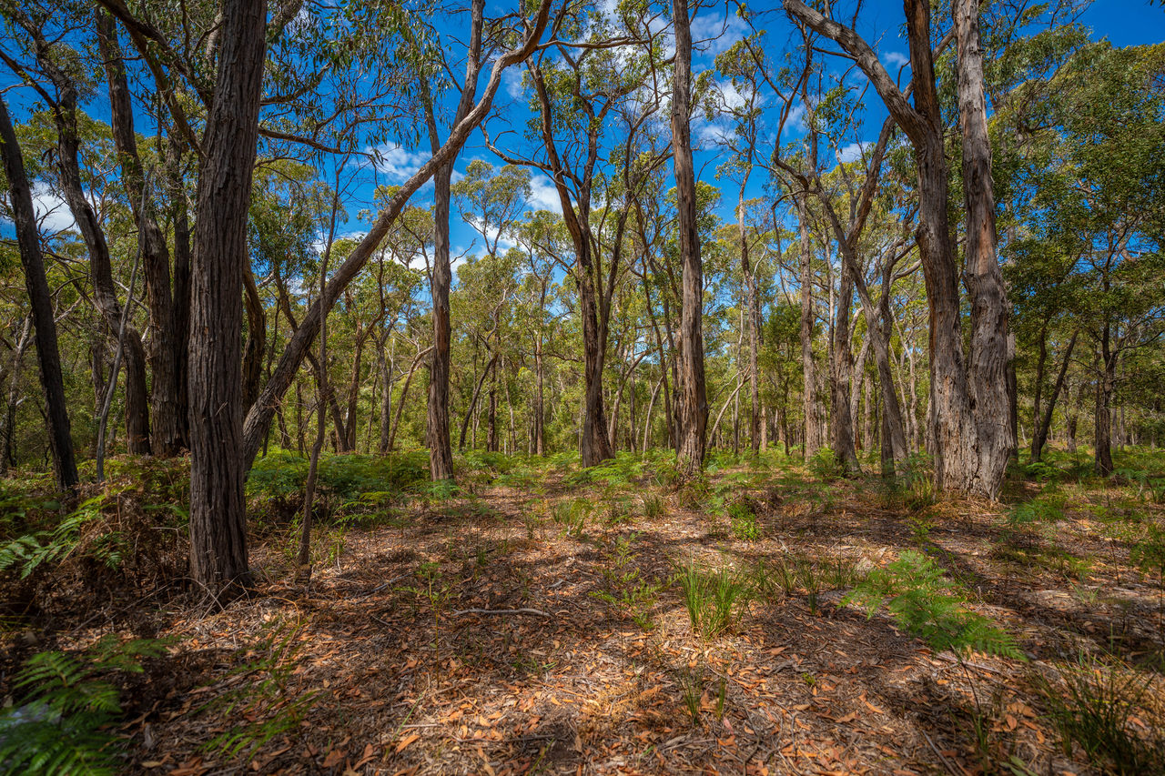 1-bedroom house at 30 Woodland Drive, Scarsdale, VIC 3351, Golden Plains, Victoria