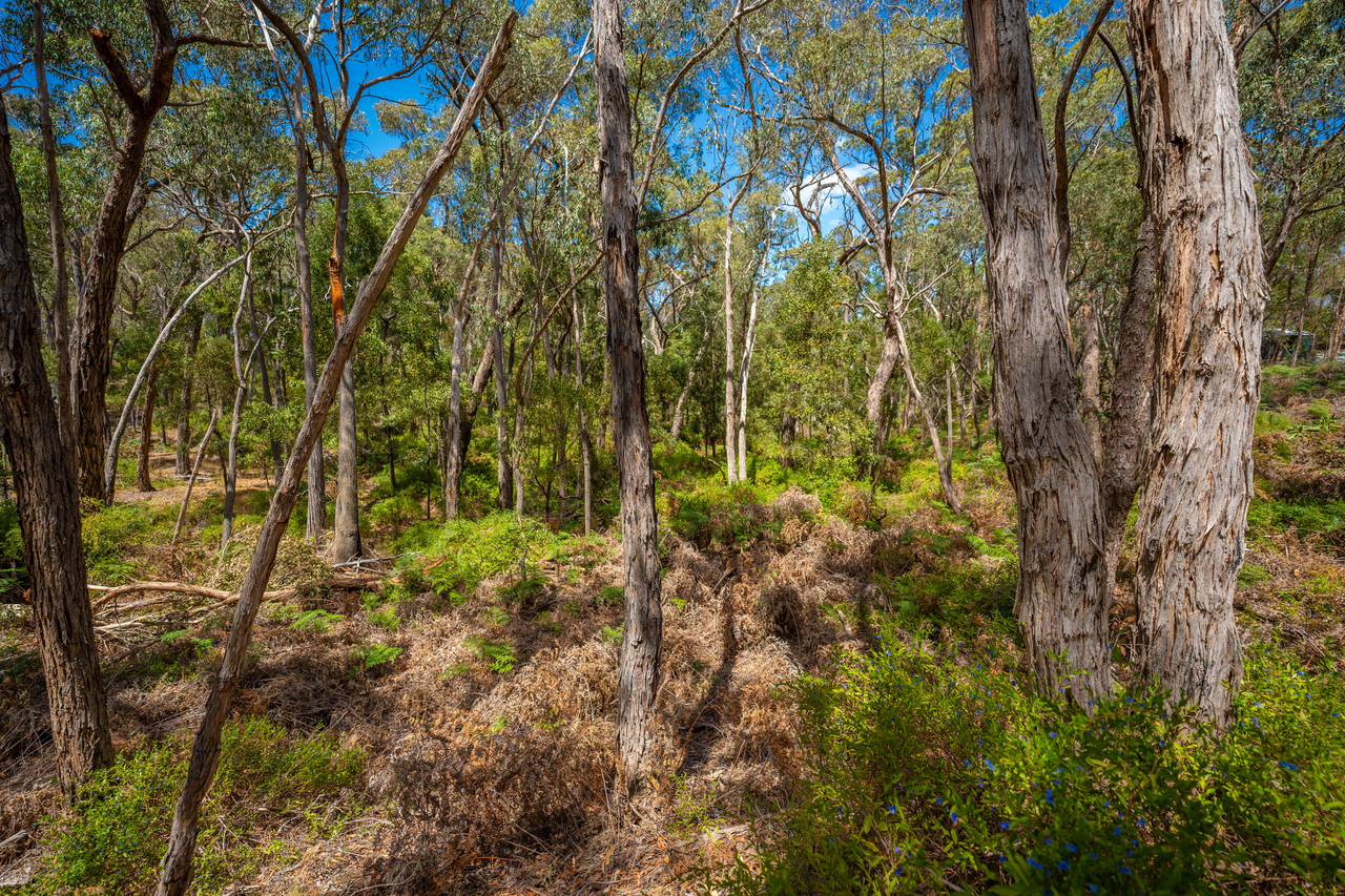 1-bedroom house at 30 Woodland Drive, Scarsdale, VIC 3351, Golden Plains, Victoria