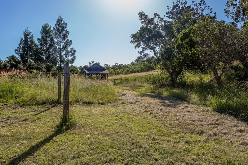 Photo - 300 Belli Oak Tree Road, Belli Park QLD 4562 - Image 21