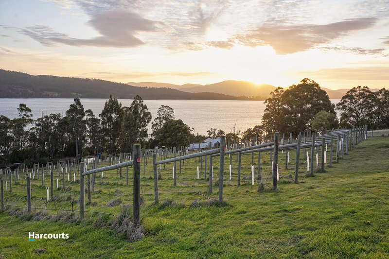 Photo - 300 Esperance Coast Road, Brooks Bay TAS 7116 - Image 9