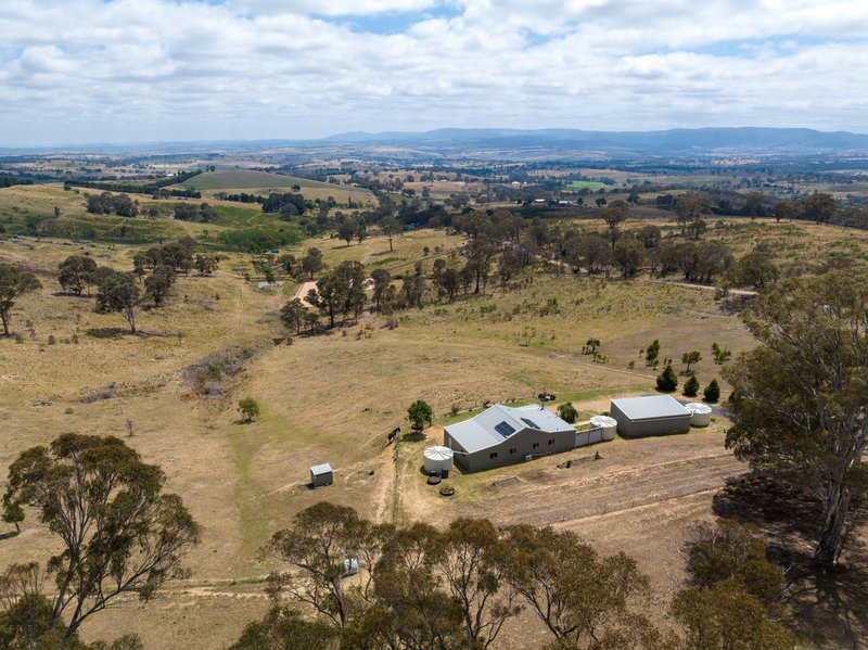 Photo - 300 Purdons Lane, O'Connell NSW 2795 - Image 25