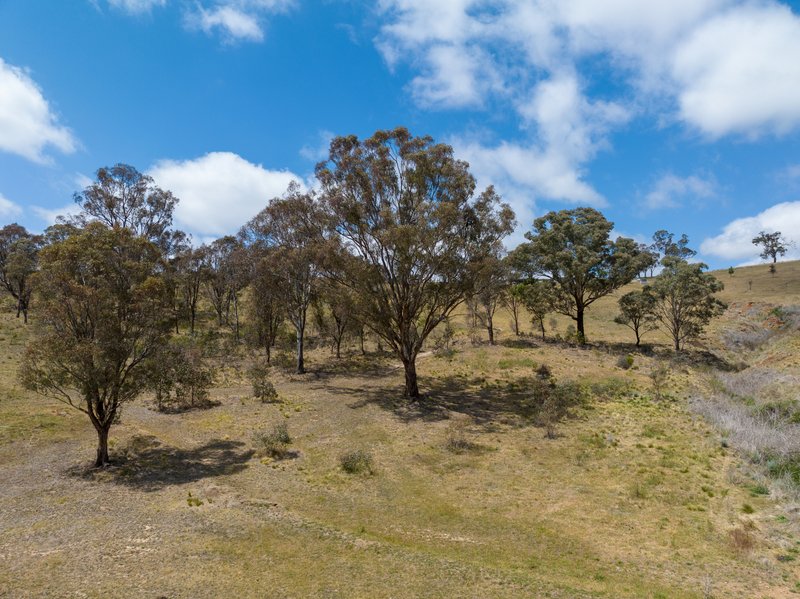 Photo - 300 Purdons Lane, O'Connell NSW 2795 - Image 26