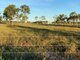 Photo - 300 Woodstock Giru Road, Mount Surround QLD 4809 - Image 3