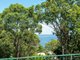 Photo - 301 Dobell Drive, Wangi Wangi NSW 2267 - Image 12