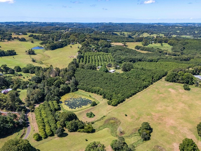 Photo - 301 Goremans Road, Eureka NSW 2480 - Image 3