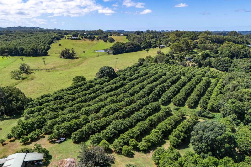 Photo - 301 Goremans Road, Eureka NSW 2480 - Image 19