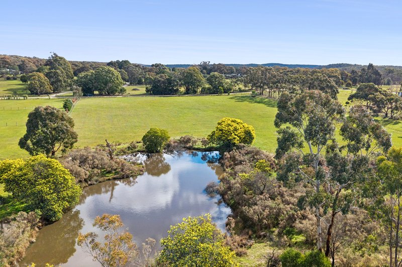 Photo - 301 Old Drummond Road, Taradale VIC 3447 - Image 3
