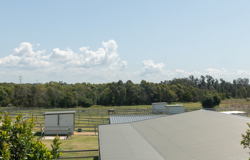 Photo - 30/10 Weyers Road, Nudgee QLD 4014 - Image 15