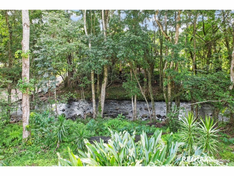 Photo - 302 Bridge Creek Road, Maleny QLD 4552 - Image 18