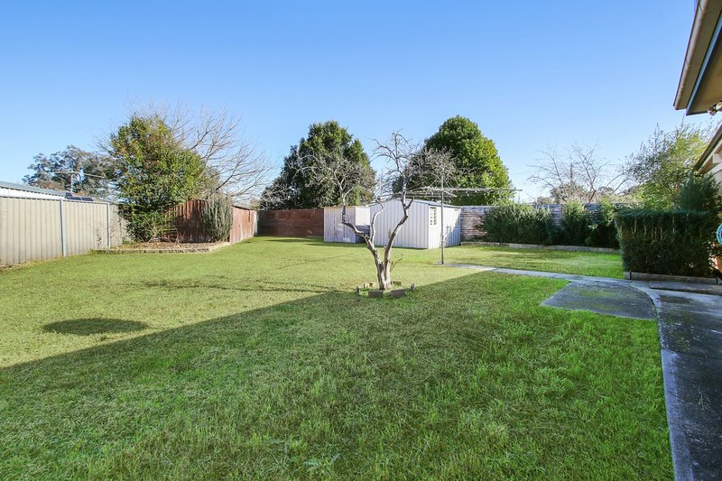 Photo - 303 Sunshine Court, Lavington NSW 2641 - Image 11