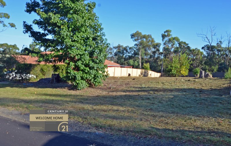 304 Singles Ridge Rd , Yellow Rock NSW 2777