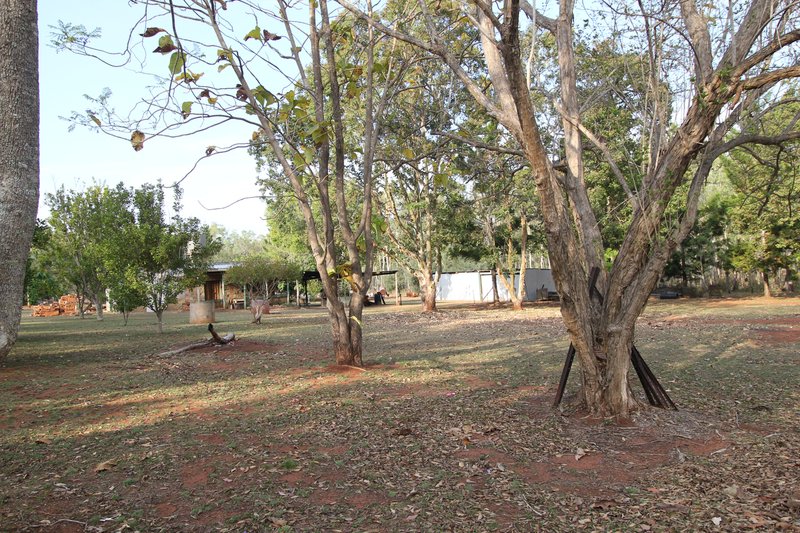 Photo - 3046 Mount Fox Road, Mount Fox QLD 4850 - Image 9