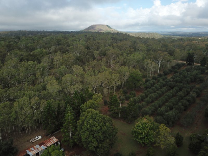 Photo - 3046 Mount Fox Road, Mount Fox QLD 4850 - Image 14