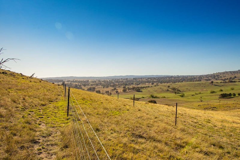 Photo - 3047 Wargeila Road, Yass NSW 2582 - Image 6