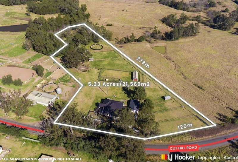 Photo - 305 Cut Hill Road, Cobbitty NSW 2570 - Image 1