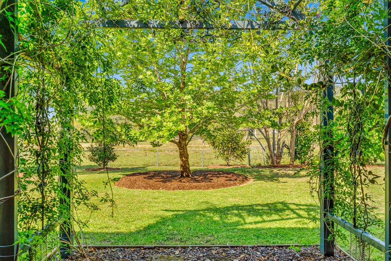 Photo - 306 Eden Creek Road, Wyneden NSW 2474 - Image 21