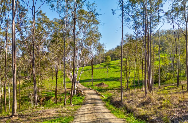 Photo - 306 Kipper Creek Road, Biarra QLD 4313 - Image 12