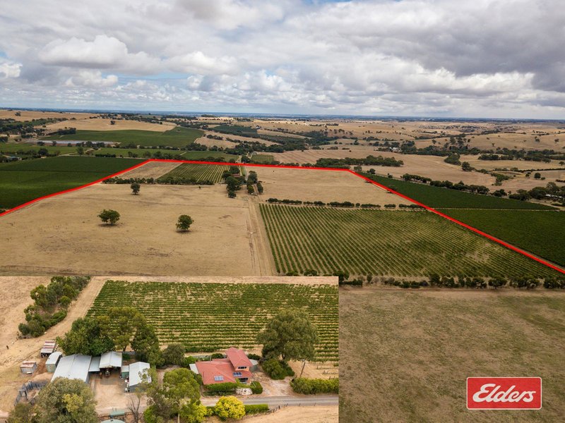 306 Rosedale Road, Rosedale SA 5350 Real Estate Industry Partners