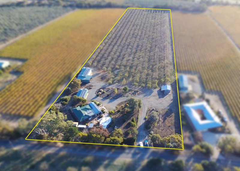 Photo - 306 Ryan Road, Sellicks Hill SA 5174 - Image 4