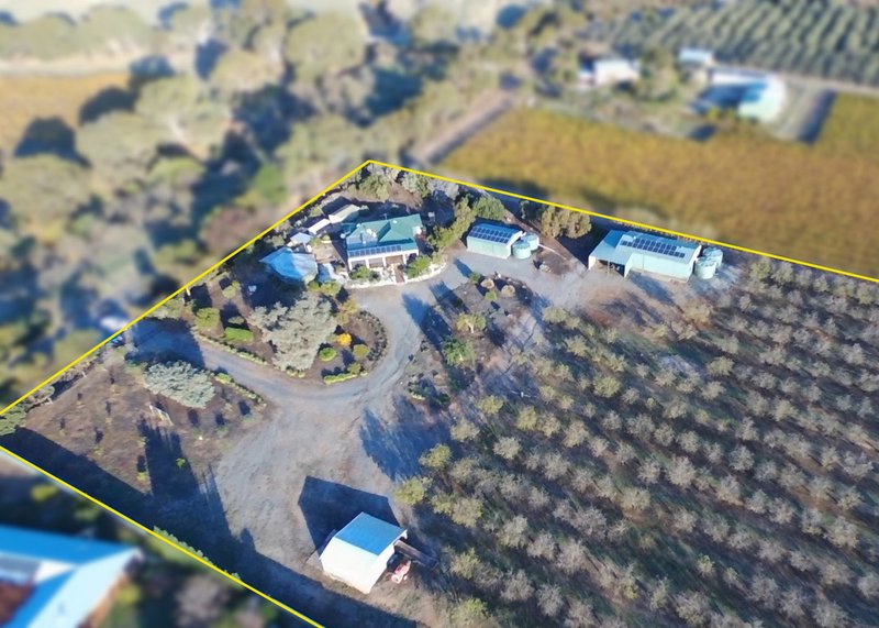 Photo - 306 Ryan Road, Sellicks Hill SA 5174 - Image 5