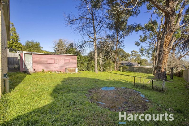 Photo - 307 Forest Road, The Basin VIC 3154 - Image 8