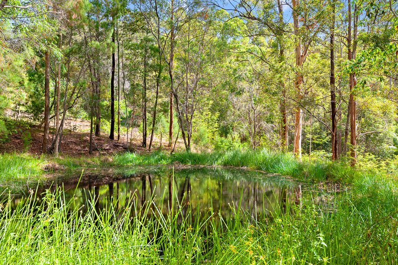 Photo - 307 Ilkley Road, Ilkley QLD 4554 - Image 3