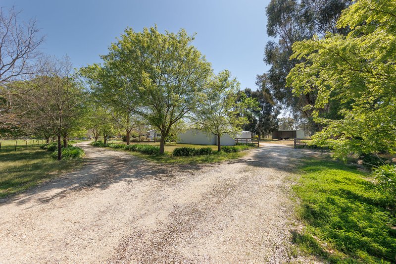 Photo - 307 Soldiers Road, Barnawartha VIC 3688 - Image 19