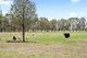 Photo - 307 Soldiers Road, Barnawartha VIC 3688 - Image 28