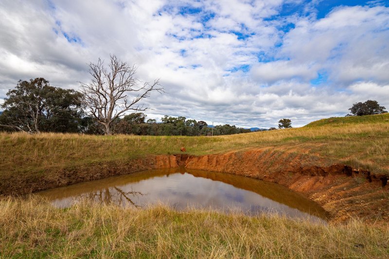 Photo - 3071 Murray Valley Highway, Ebden VIC 3691 - Image 8