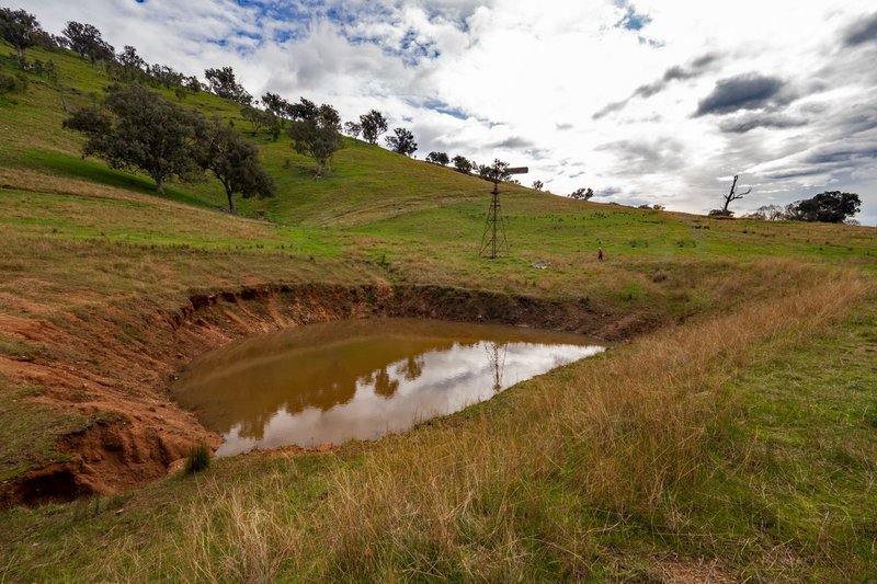 Photo - 3071 Murray Valley Highway, Ebden VIC 3691 - Image 9