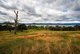 Photo - 3071 Murray Valley Highway, Ebden VIC 3691 - Image 11